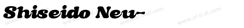 Shiseido Neu字体转换
